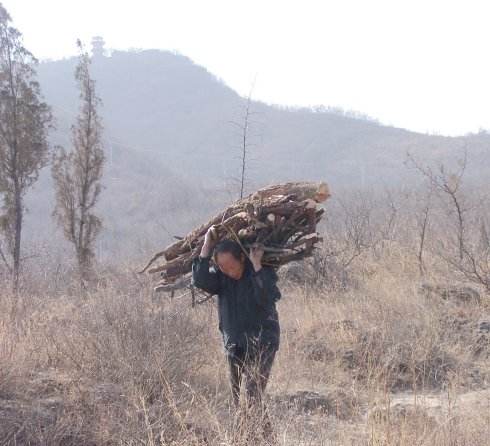 我定期给父亲汇钱,他生病却说没钱治,看完转账记录,我引以为豪