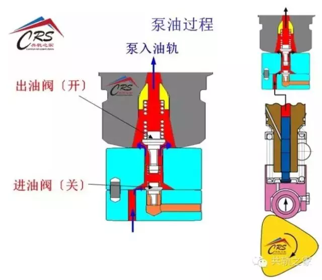 洋马油泵分解图图片