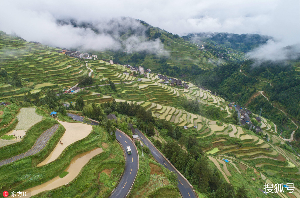 雷山陡寨梯田图片