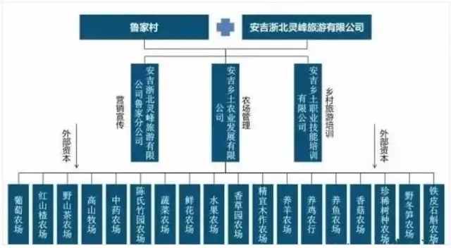 在农场的投资运营层面,鲁家村引入外部资本对农场进行项目投资和运营