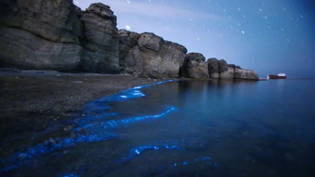 央視爆紅的熒光海,5月驚現大連,這個夏季陸續在全國這些島嶼出現!