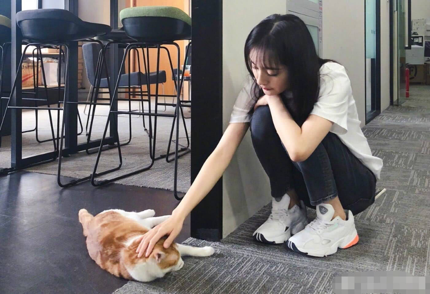 杨幂蹲地逗猫如邻家少女,却又被网友质疑在作秀