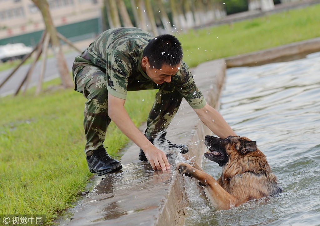 2017年7月19日,武警重慶總隊七支隊特勤中隊警犬班的訓犬員們在水池旁