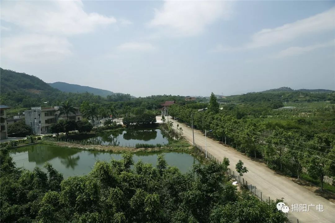 揭西县东园镇玉湖村图片