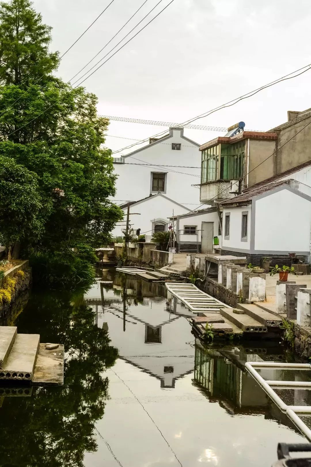 骆驼街道清水湖村图片