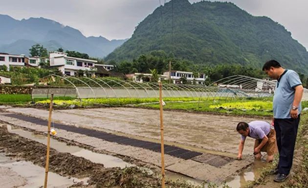 深度貧困縣的5類鄉土人才注意了,我省將開展培訓為你們