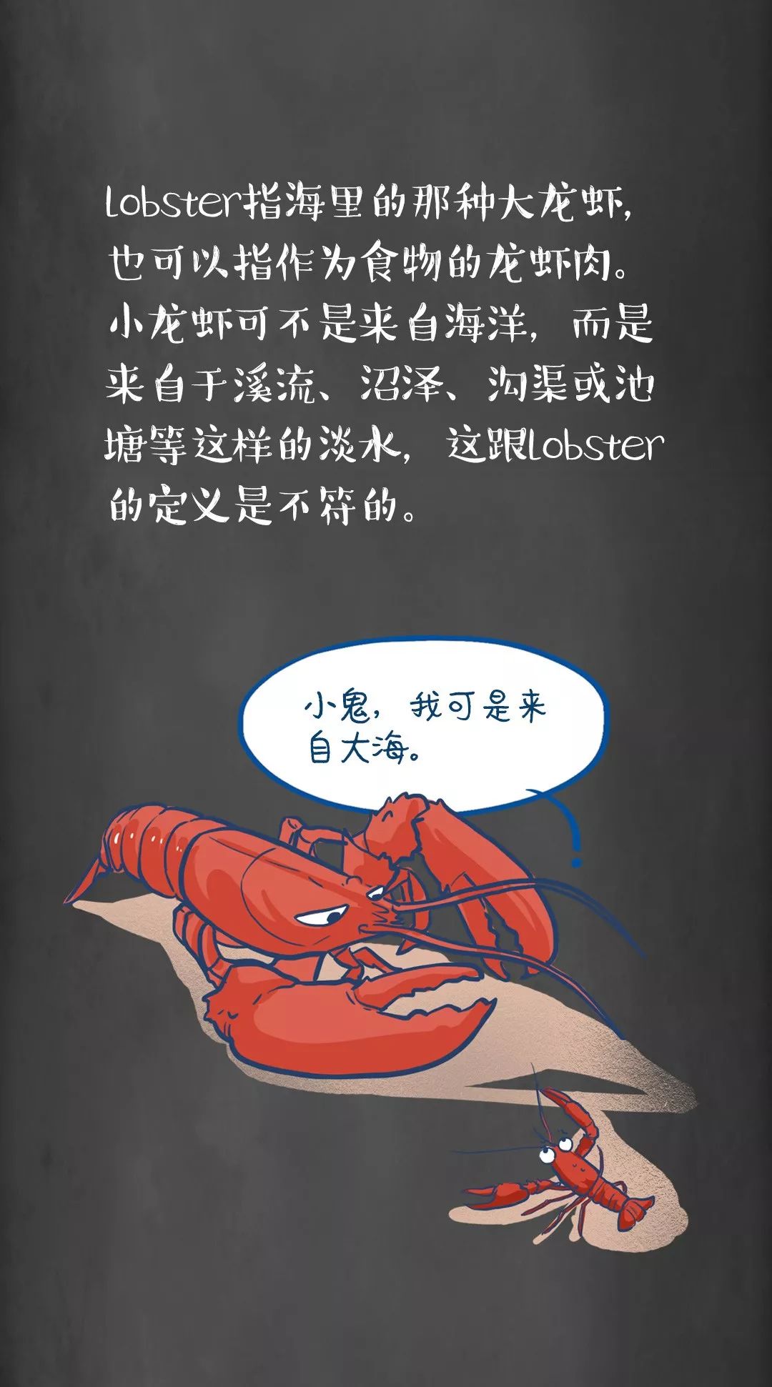 龙虾用英文怎么说图片