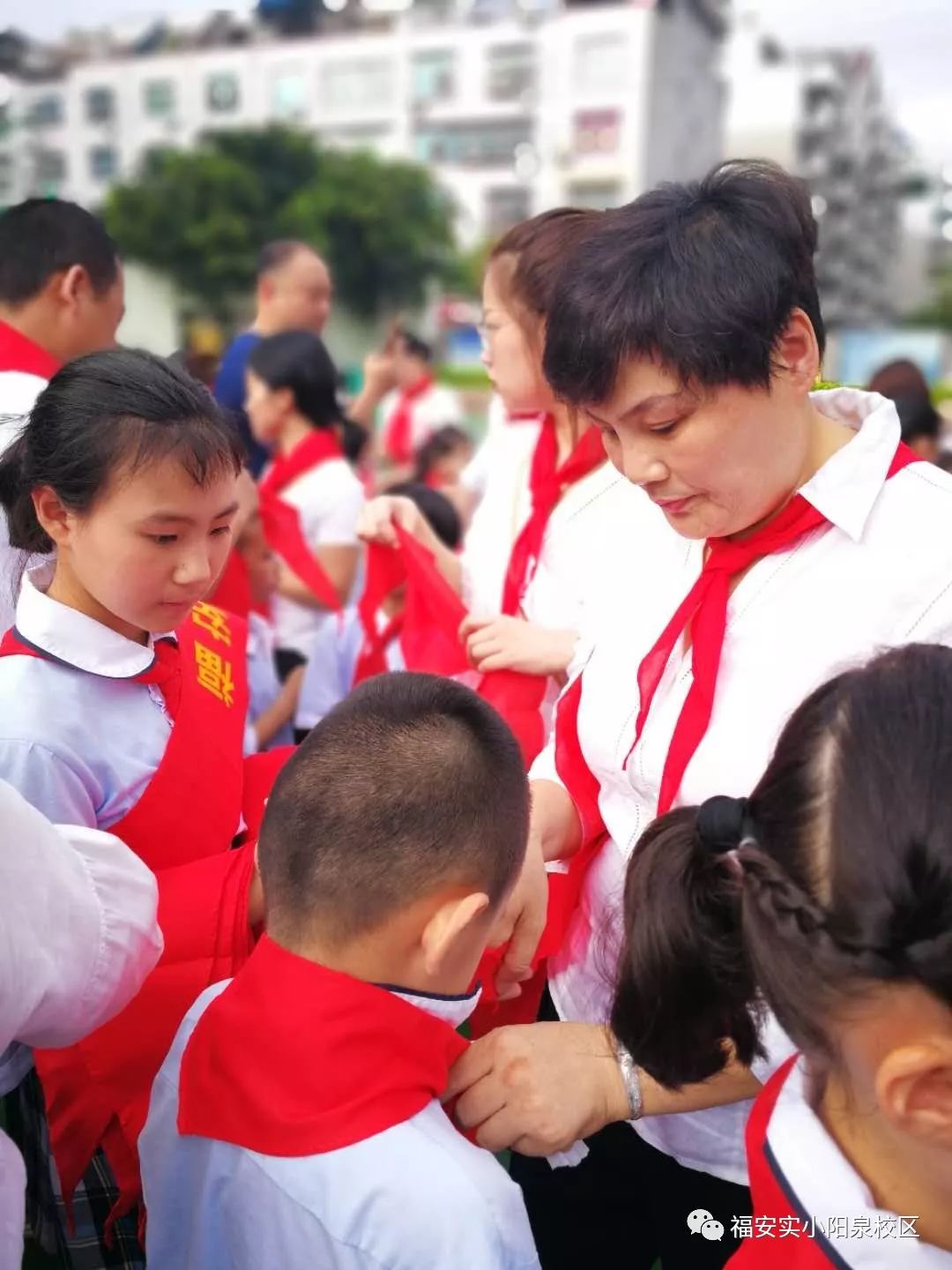 福安阳泉实验小学图片