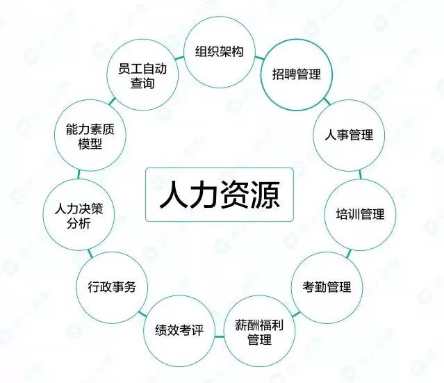 超全人力资源工作流程图,资深hrd吐血整理,hr人手一份!