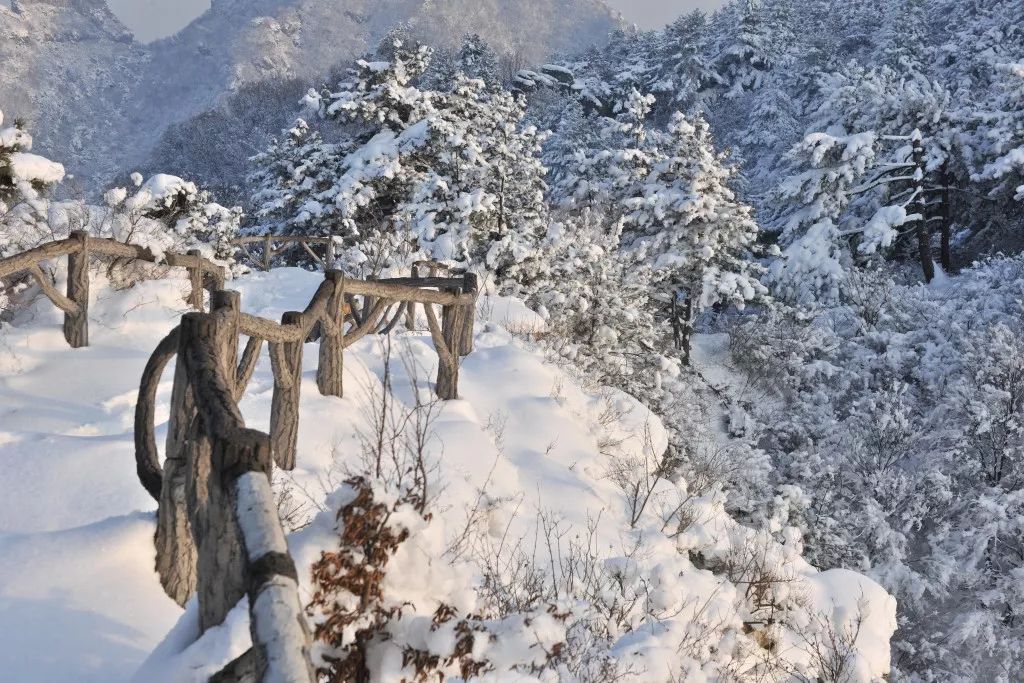 打造太行旅遊板塊品牌的重大決策,更是陵川發展文化旅遊產業的必之路