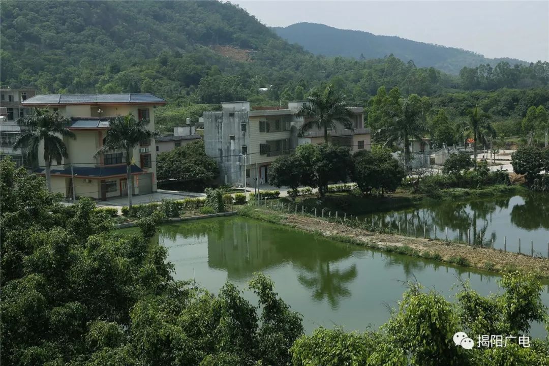 揭阳邮政杯《美丽乡村》微信大赛 玉湖镇最南端有一个美丽的大坑