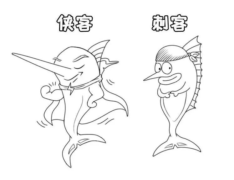 科只有剑鱼一种,而旗鱼科则多达十种不同的旗鱼;tips剑鱼(swordfish)