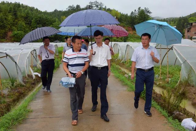 大雨阻挡不了的牵挂!武平县领导冒雨前往武东陈埔村和十方中和村