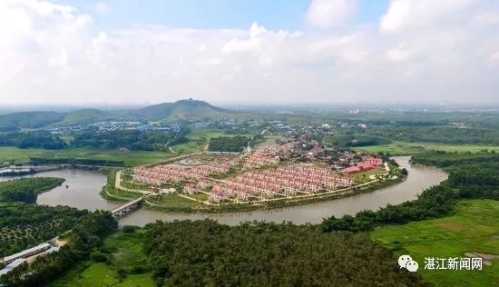 遂溪官湖村图片