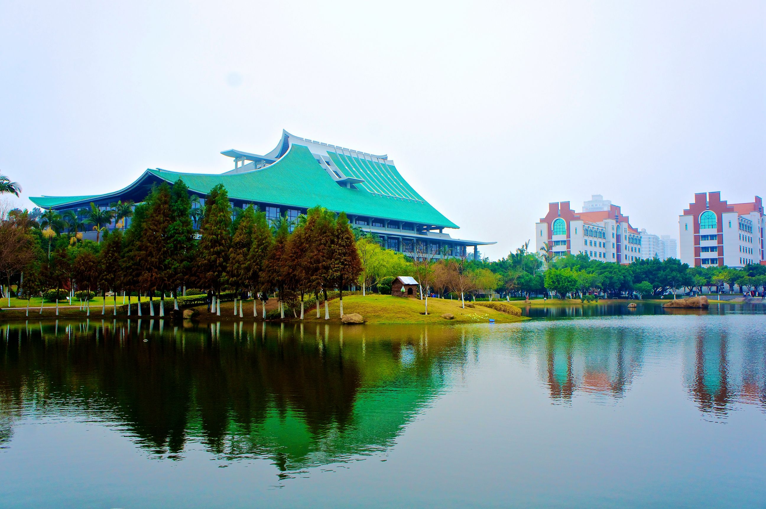 旅游 正文 厦门大学的旧建筑多为陈嘉庚先生的女婿所建,清水墙,琉璃顶