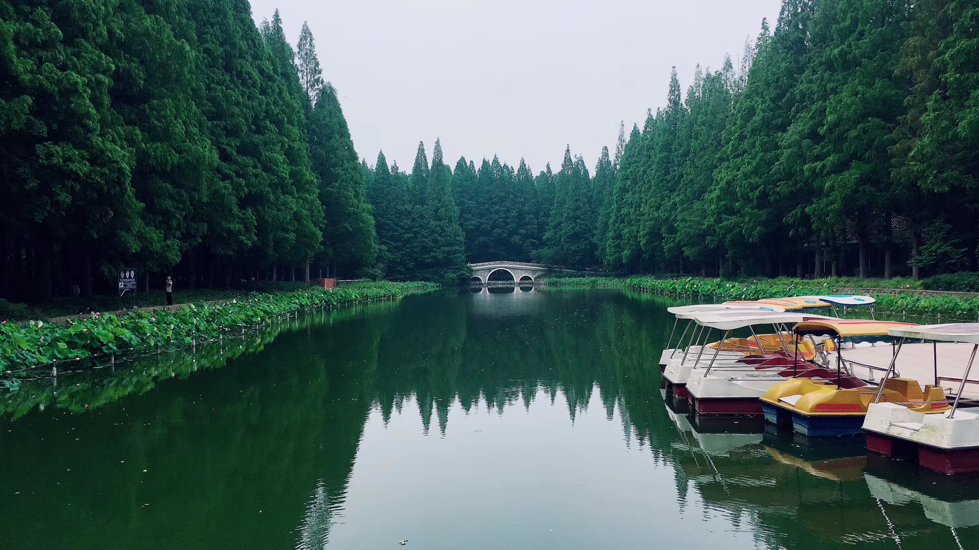 潜江一日游景点自驾游图片