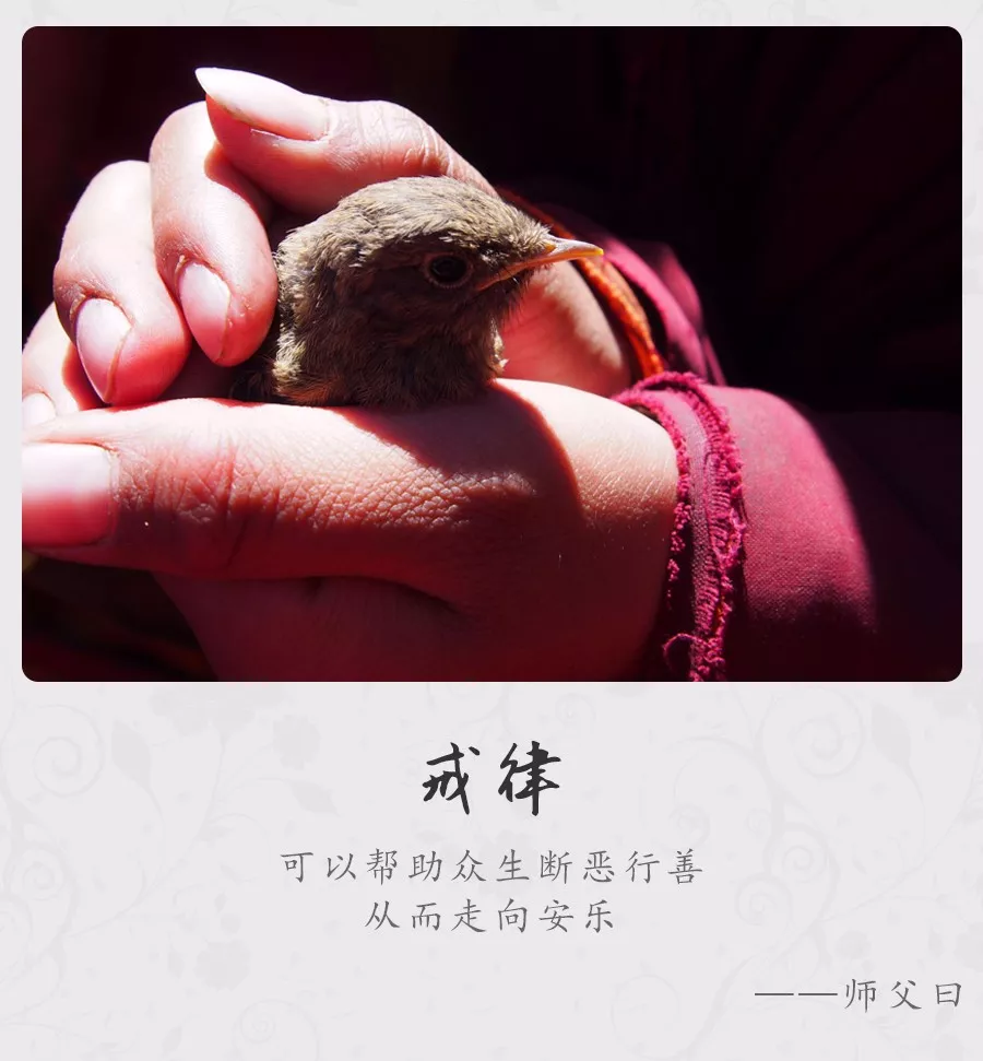 师父说持戒一天受益一生