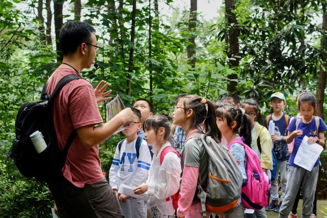 活動回顧國際森林日在森林裡的別樣兒童節