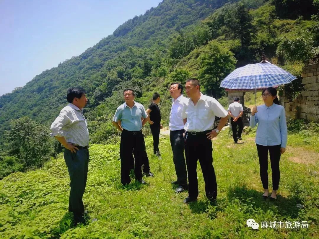 一片绿叶,成了麻城这个村的良药