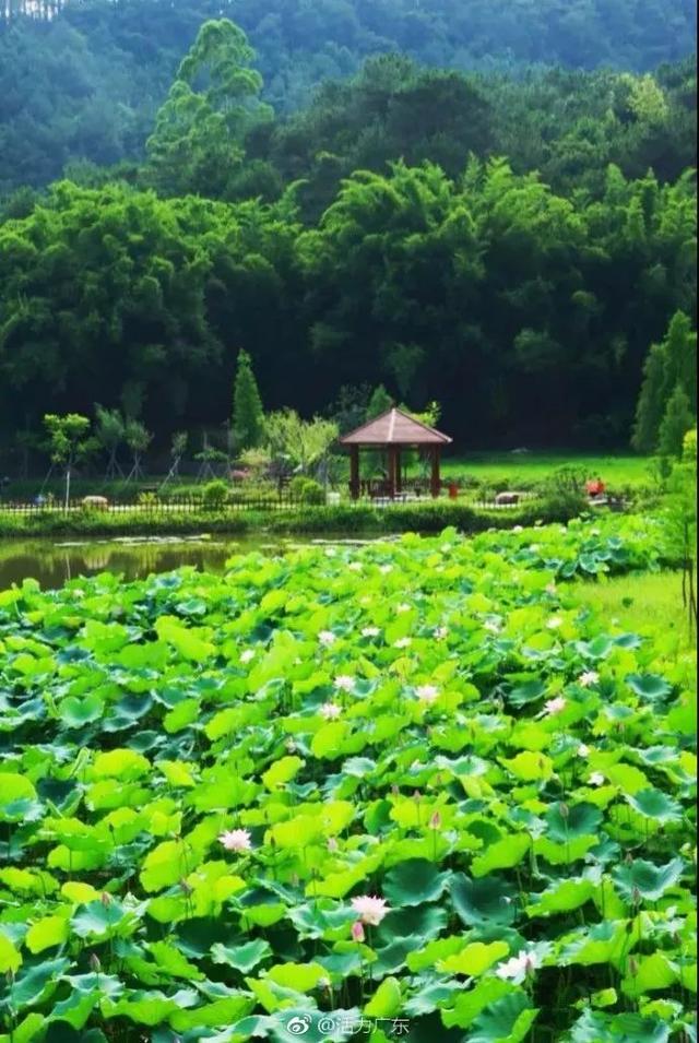 云浮南山公园图片