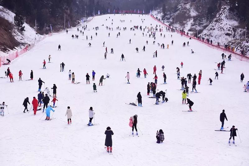 板桥镇滑雪场图片