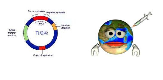 專業放大鏡丨成理生物工程專業