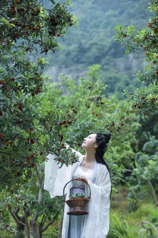 【2018黄岩首届杨梅节特刊】赏游药山吟留别