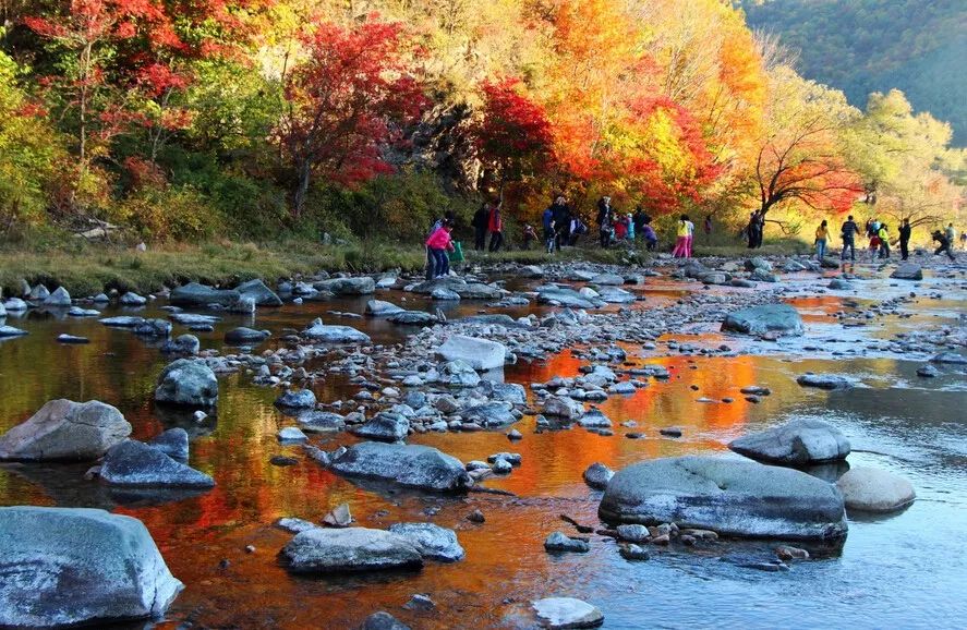 遼寧秋攝:本溪紅葉,集安太極灣,米倉溝秋色,老邊溝,關門山,