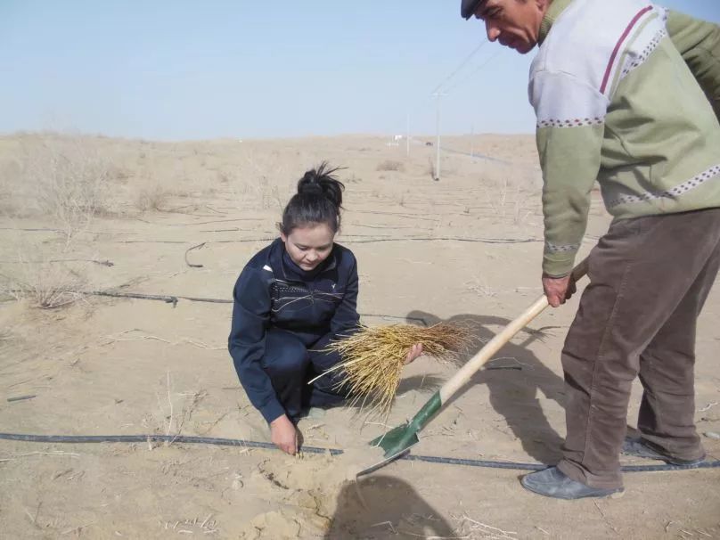 防沙治沙人帕提古丽61亚森我的梦想是染绿沙漠