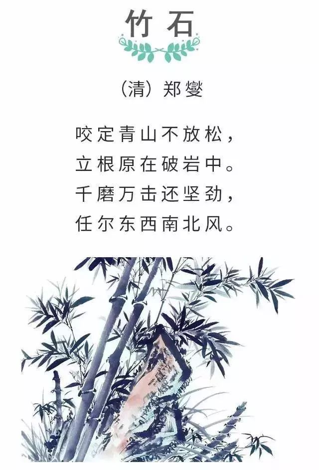 竹石古诗带拼音版图片