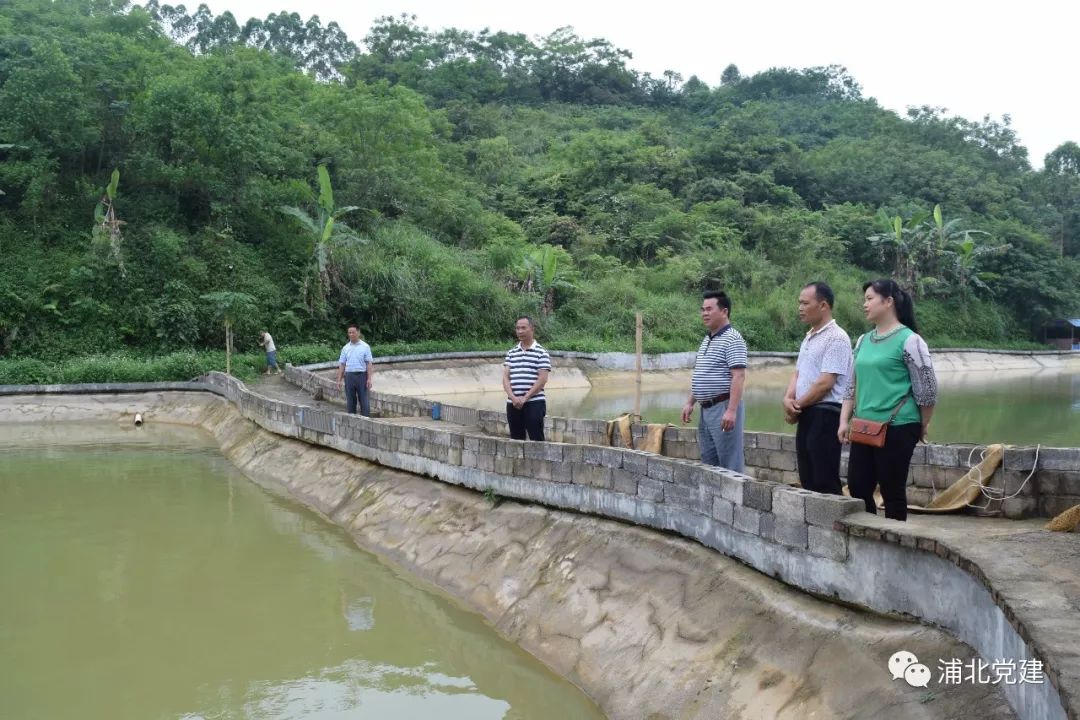 媒体看浦北有钱办事底气足了寨圩镇发展壮大村集体经济走笔