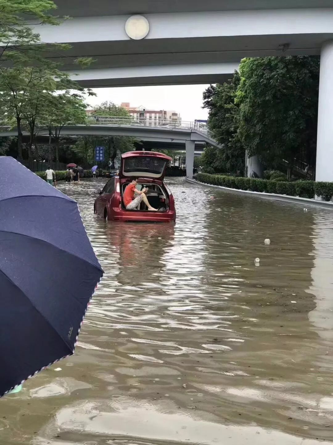 直击!佛山有记录以来最强暴雨,各种囧事爆笑,竟然还有人