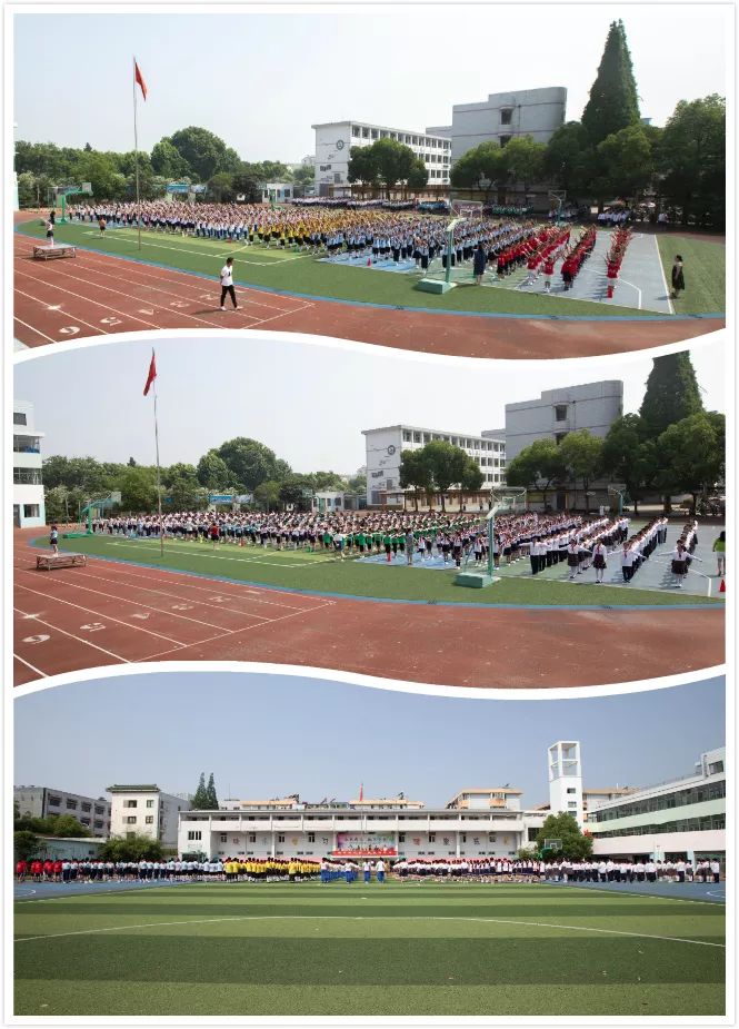 兴化实验小学图片