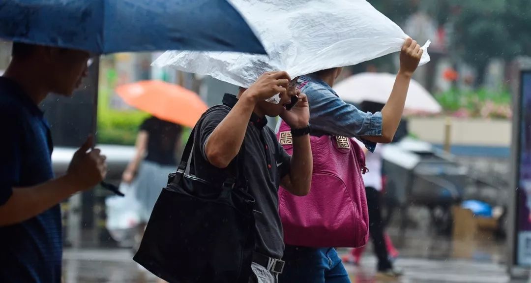 那些为他人撑伞的好心人遮住了雨滴 温暖了人心在雨中的司机 目光坚定