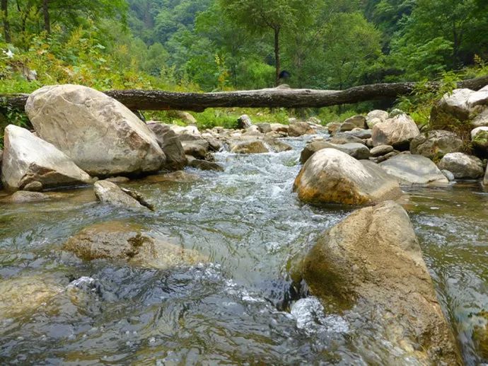 吉林甑峰嶺,黑龍江細鱗河,貴州大沙河等5處新建國家級自然保護區已經