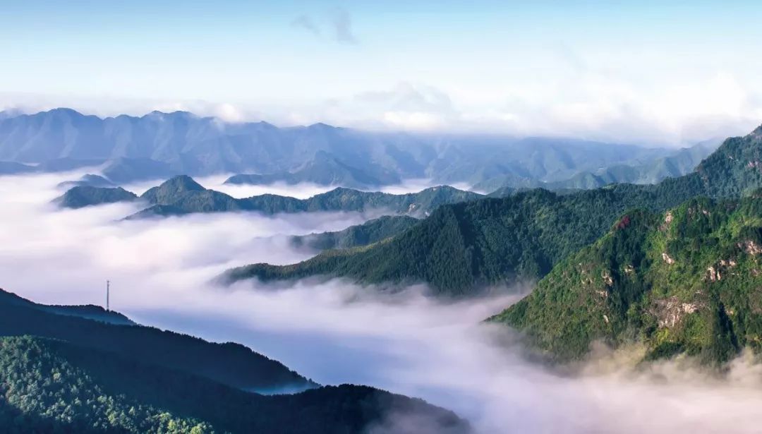 河南100县 竹林云海