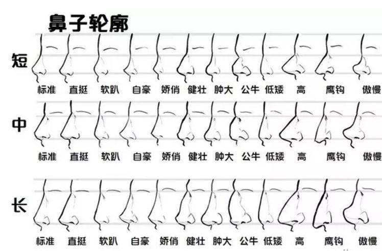 不同性格对应着不同类型的鼻子轮廓.