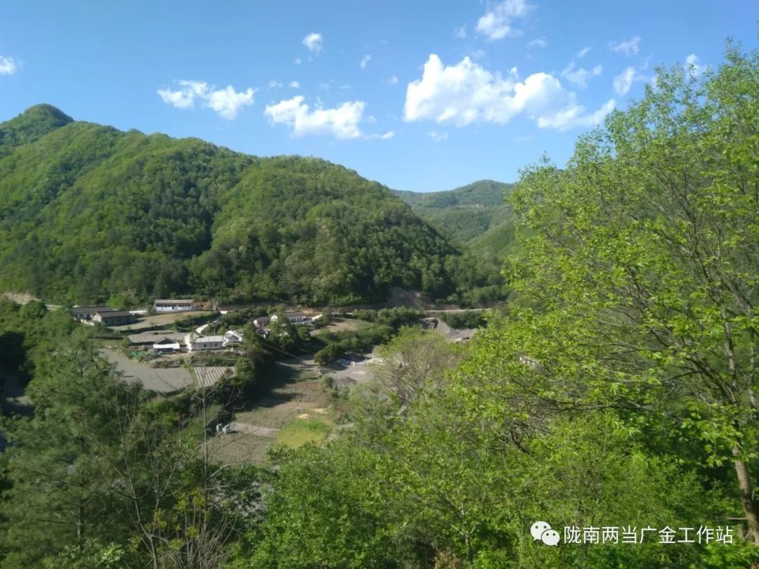 精准扶贫改变乡村面貌常河村