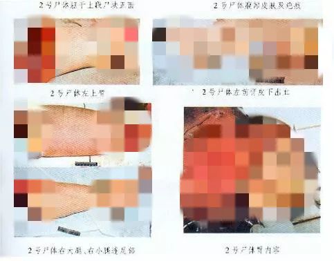 南京119碎尸案图片图片