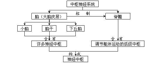 高中生物必修三第一二兩章概念圖彙編