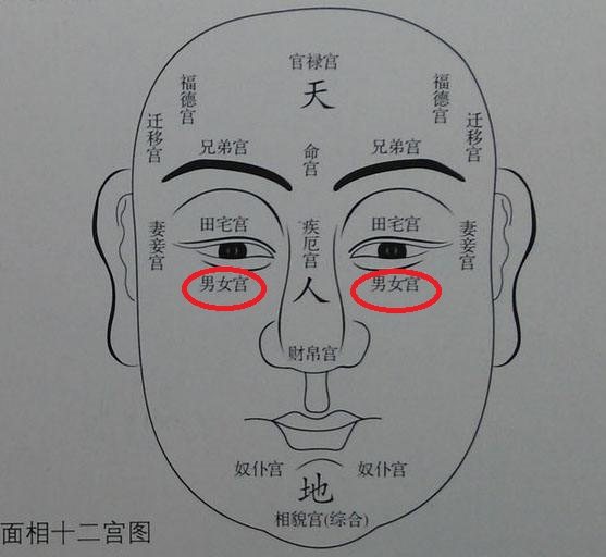 滴泪痣的位置与命运图图片