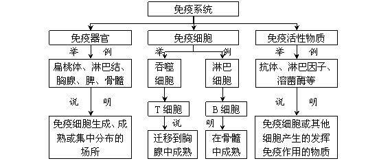 生物必修三每章概念图图片