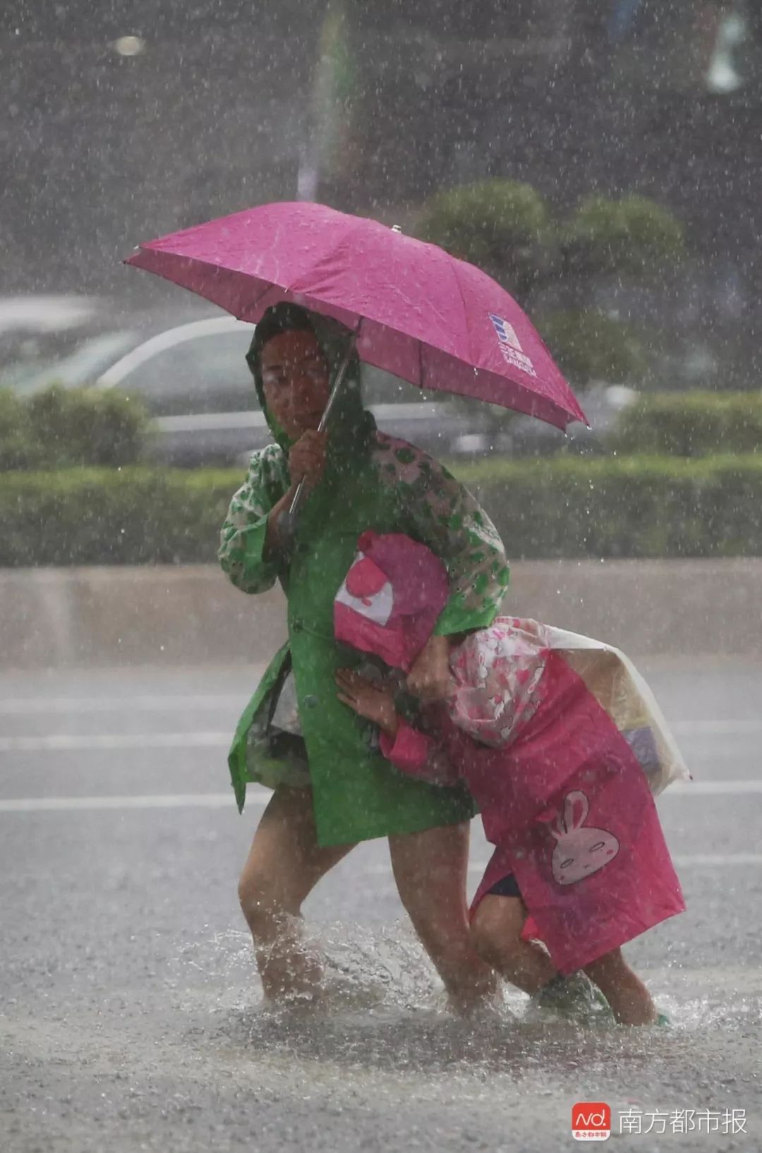 风雨飘摇中挣扎的图片图片