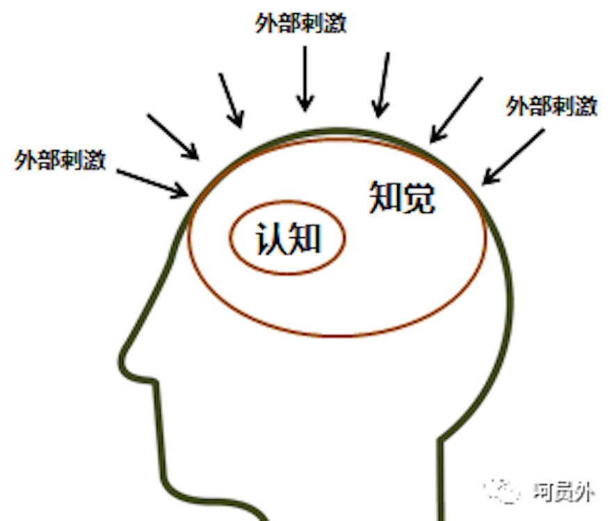 在认知心理学中,我们大脑在接受信息的时候会经过一连串的步骤