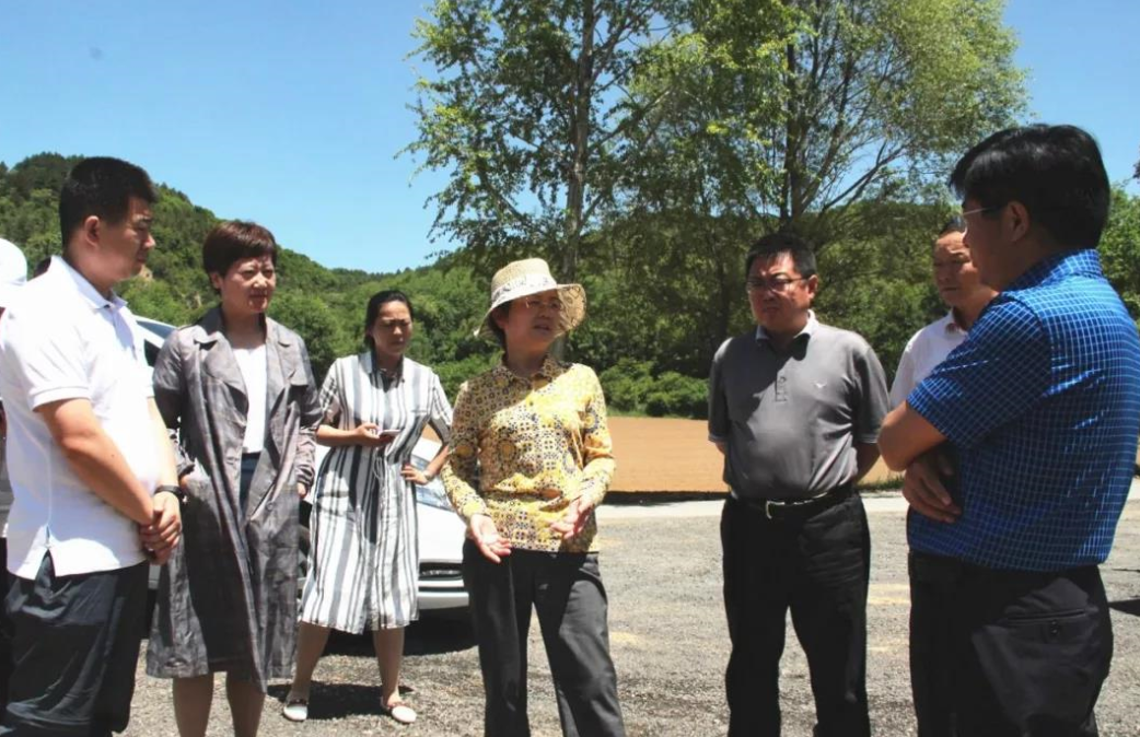 延安市委常委,副市长孙矿玲到洛川县厢寺川景区调研旅游开发工作