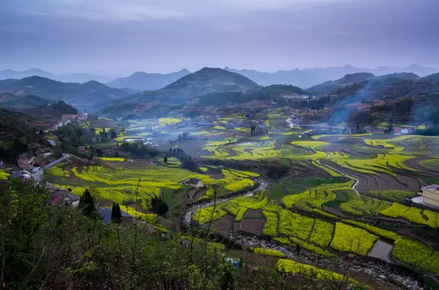 確認過眼神是來安康旅行的人