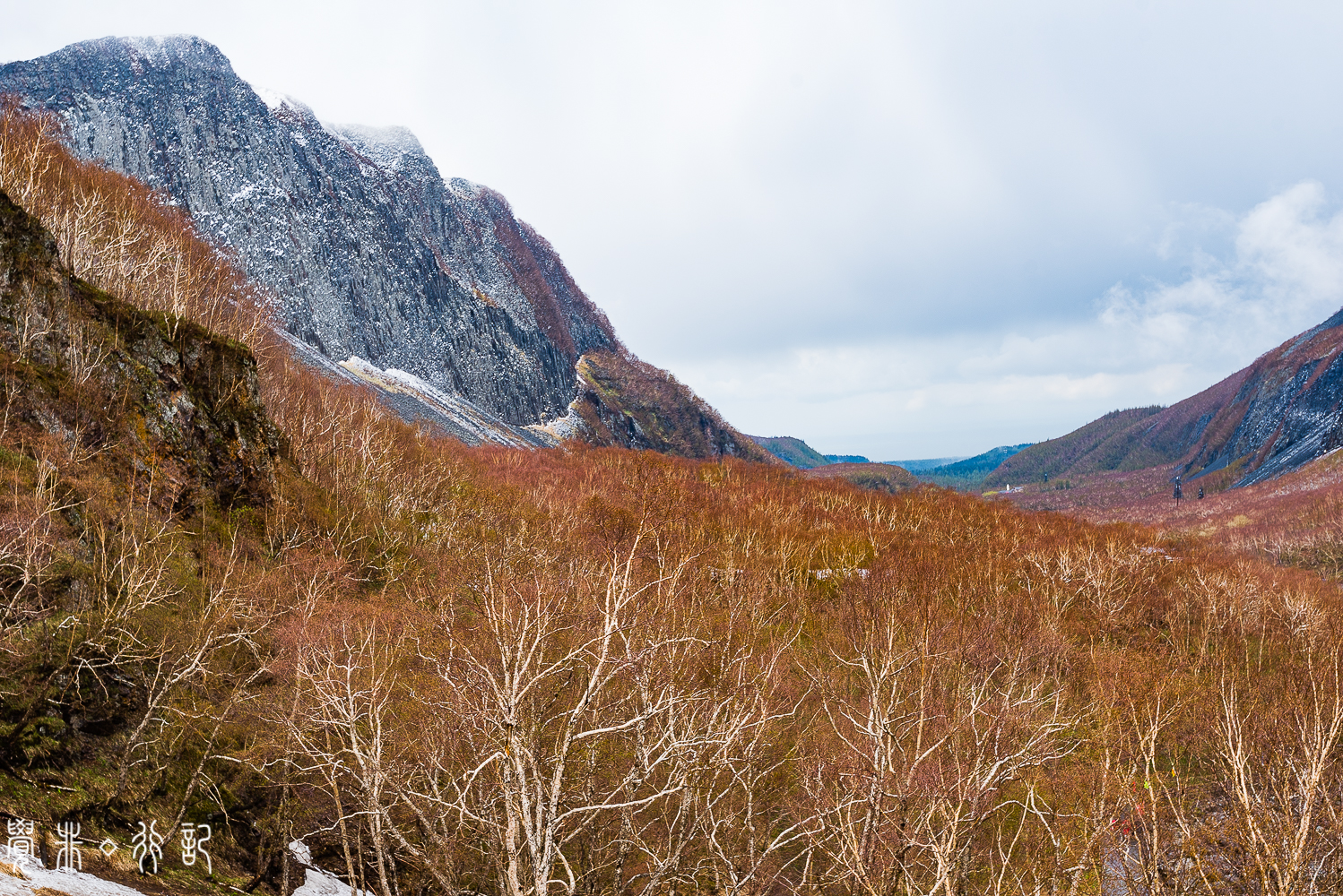 高山冻原图片