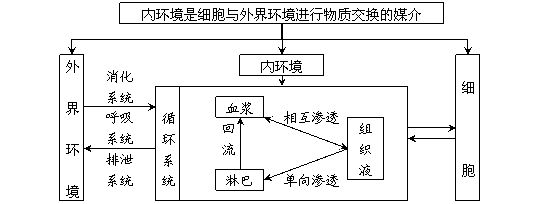 高中生物必修三第一,二兩章概念圖彙編