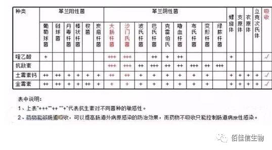 恩拉霉素最佳配伍图片