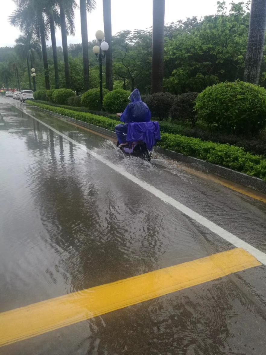 今天暴曬明天你還不知道是鹹魚還是落湯雞呢